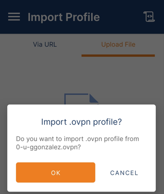 Ventana preguntara si desea importar el perfil .ovpn